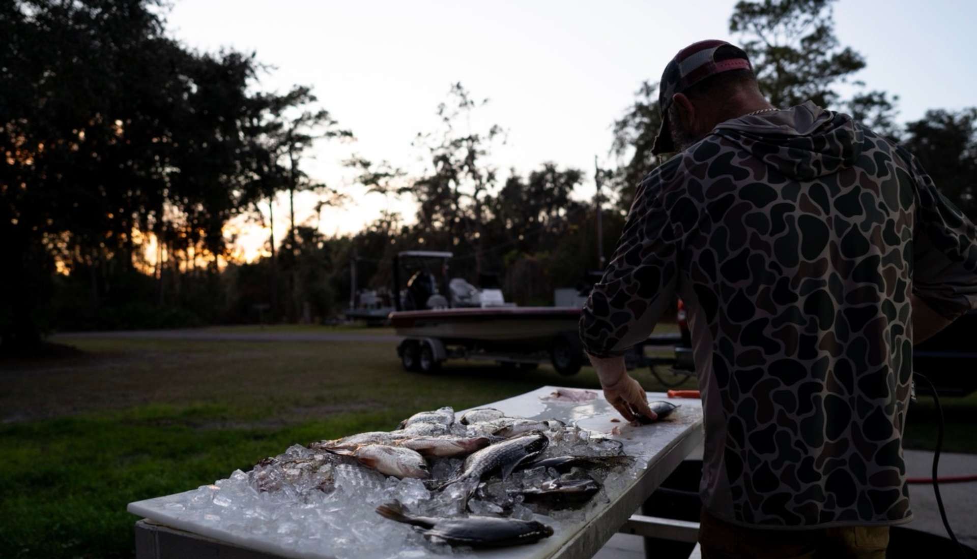  Alligator Hunt