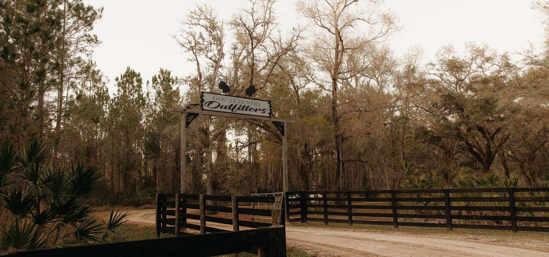 Osceola Turkey Picture Osceola Turkey Picture