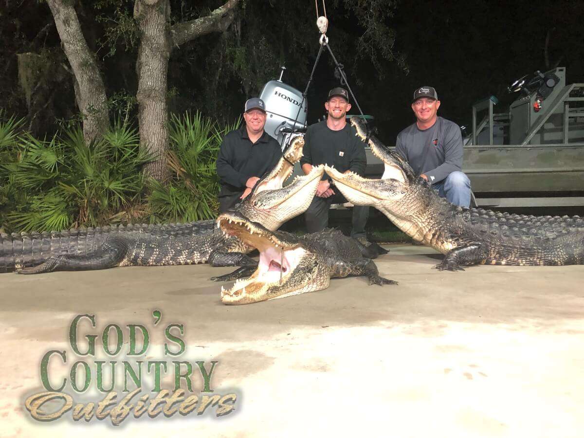 Florida Alligator Hunting - Wild Alligator Hunts