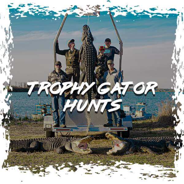 Hunt Trophy Gators with Gods Country Outfitters