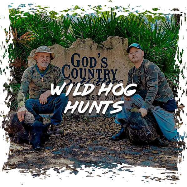 Hunt Wild Hogs with Gods Country Outfitters