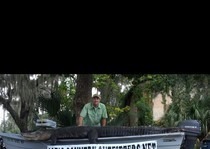 Trophy Florida Alligators