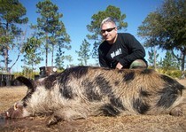 Hog hunting photo gallery from God's Country Outfitters. God’s Country Outfitters (GCO) is owned and operated by good country people that love to hunt Florida hog's just as much as you do.