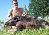 Hog hunting photo gallery from God's Country Outfitters. God’s Country Outfitters (GCO) is owned and operated by good country people that love to hunt Florida hog's just as much as you do.
