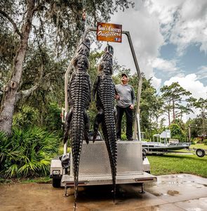 Hal Shaffer with his 2 dinosaur gators!