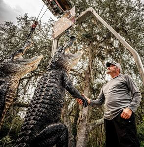 Hal Shaffer with his gator